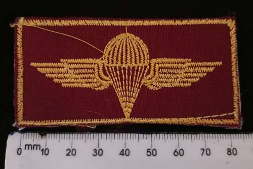 Iraqi Paratrooper Jump Wings                  F 23