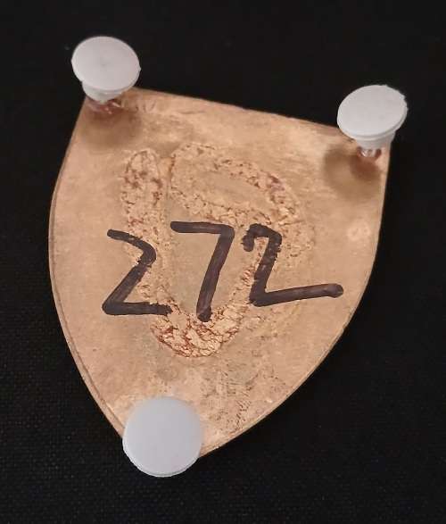 SADF Regiment Christiaan Beyers Shoulder Flash              D3