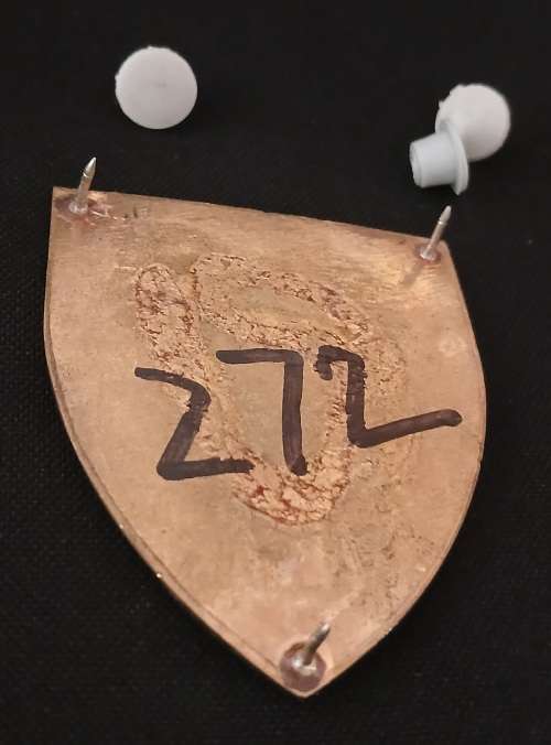 SADF Regiment Christiaan Beyers Shoulder Flash              D3