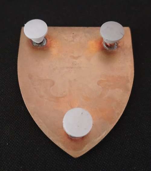 KENYA 20 Parachute Battalion Shoulder Flash                   D8