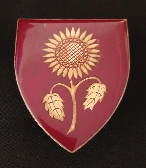 SADF SOMERSET EAST COMMANDO Shoulder Flash  ( Note 2 Pins Repaired )     D19