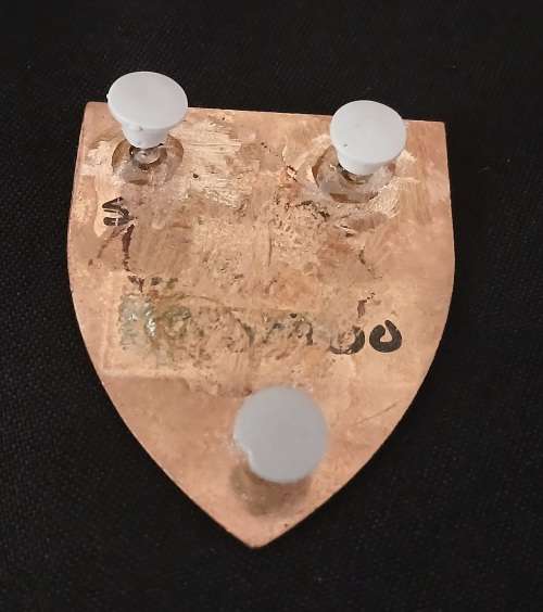 SADF SOMERSET EAST COMMANDO Shoulder Flash  ( Note 2 Pins Repaired )     D19