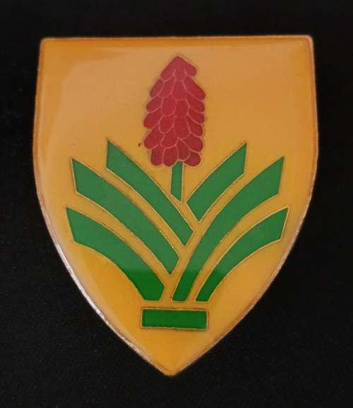 SADF KAROO COMMANDO Shoulder Flash ( Note all 3 Pins Repaired )     D20