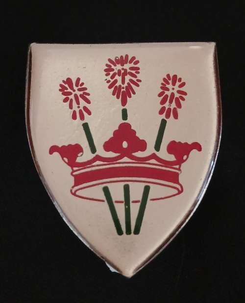 SADF VICTORIA WEST COMMANDO                   D29