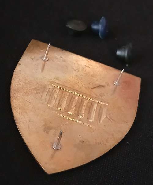 REGIMENT DAN PIENAAR Shoulder Flash                   D39