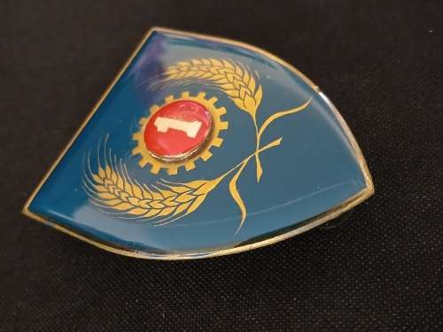 SADF 1 MAINTENANCE SERVICE UNIT RAISED 1 Shoulder Flash 1st TYPE                  D46