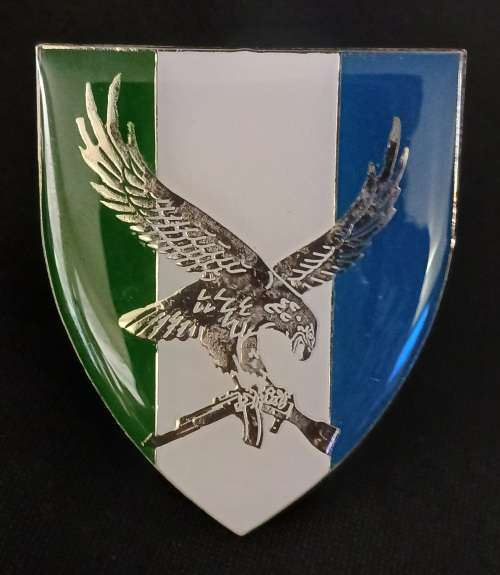 SWA 101 BATTALION RECONNAISSANCE COMPANY Shoulder Flash                  D49
