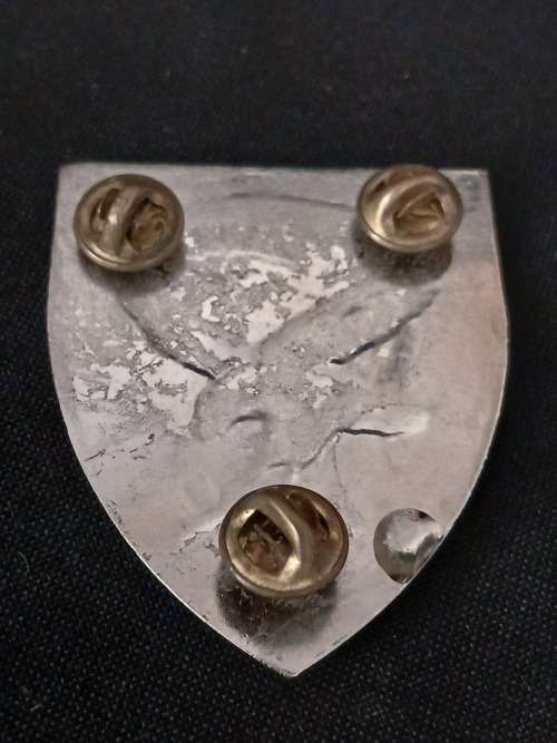 SWA 101 BATTALION RECONNAISSANCE COMPANY Shoulder Flash                  D49