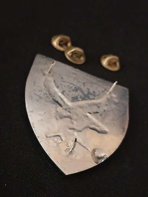 SWA 101 BATTALION RECONNAISSANCE COMPANY Shoulder Flash                  D49