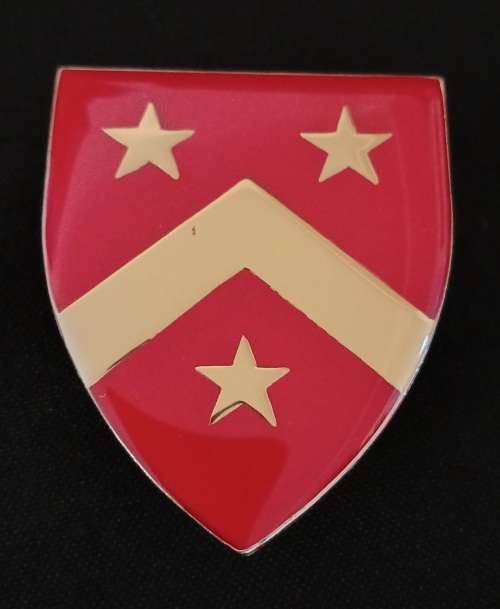 SADF SENEKAL COMMANDO Shoulder Flash                         D61