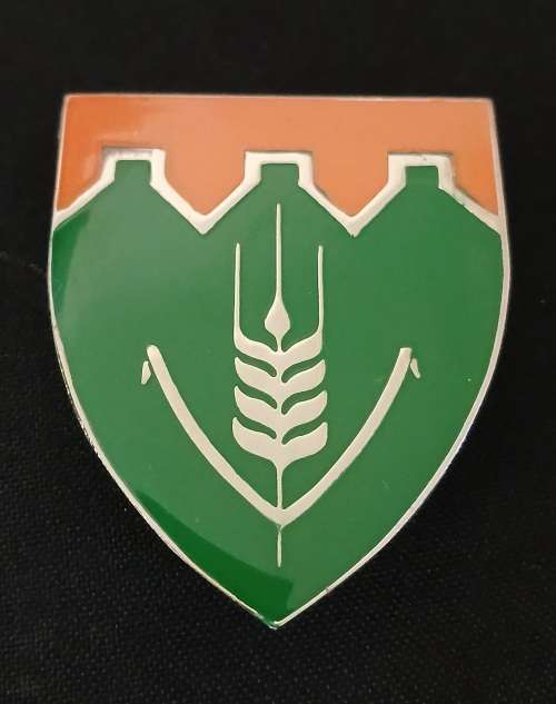 SADF FOURIESBURG COMMANDO Shoulder Flash                           D63
