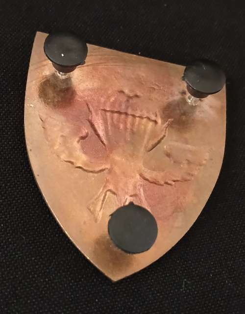 KENYA 20 PARACHUTE BATTALION Shoulder Flash                    D66