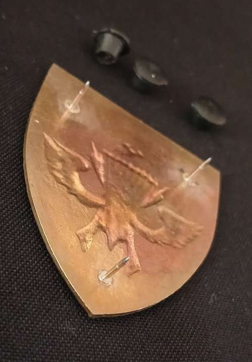 KENYA 20 PARACHUTE BATTALION Shoulder Flash                    D66