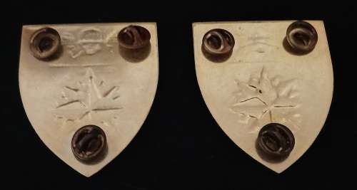 5 Special Forces Regiment Shoulder Flash Pair                                     R12