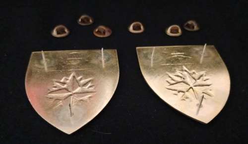 5 Special Forces Regiment Shoulder Flash Pair                                     R12
