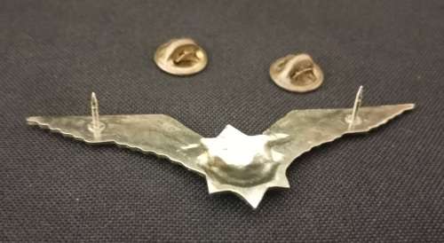 SOUTH AFRICAN - S.A.P PILOT WINGS      R31