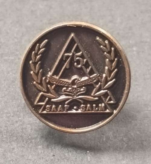 South African Air Force 75 Years Lapel Pin                           M28