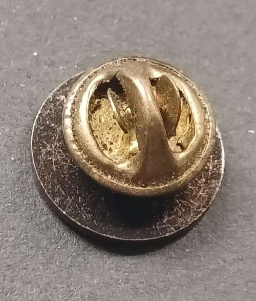 South African Air Force 75 Years Lapel Pin                           M28