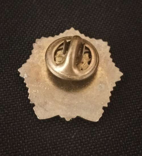 International Law Enforcement Academy BUDAPEST POLICE Lapel Pin                          M37