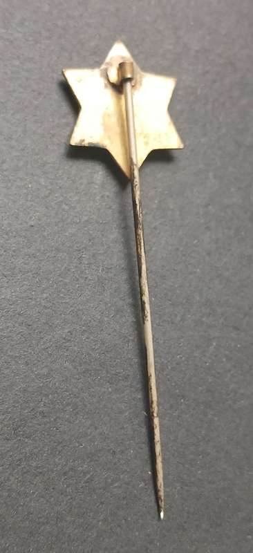 Vintage CHRISTIAN HERALD GOLDEN STAR BRIGADE Enamel Pin Badge                   M38