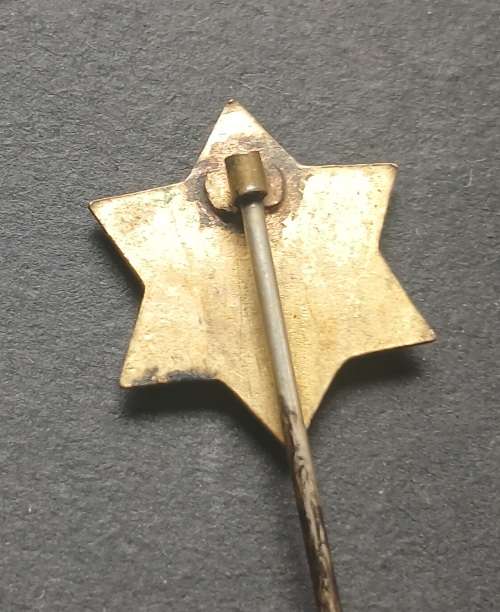 Vintage CHRISTIAN HERALD GOLDEN STAR BRIGADE Enamel Pin Badge                   M38