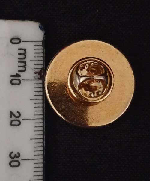 SAVA VETERANS 1957 - 1994 LAPEL BADGE                         M40