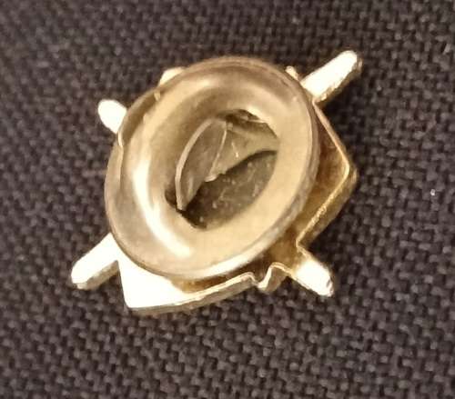 UNION OF Slovenian ZSC Pin Badge                      M42