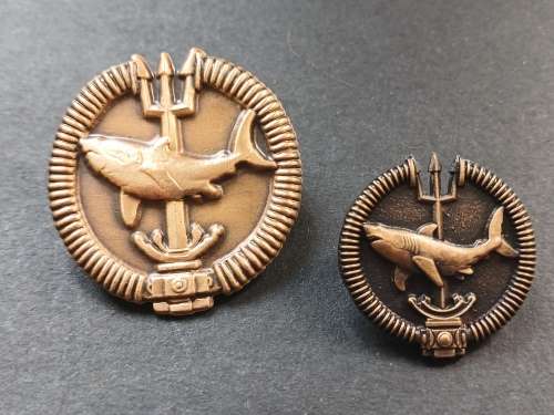 SA Army - Attack Diver ` Bronze` Special Forces Proficiency Badges ( Full Size and Mess Dress )  F74