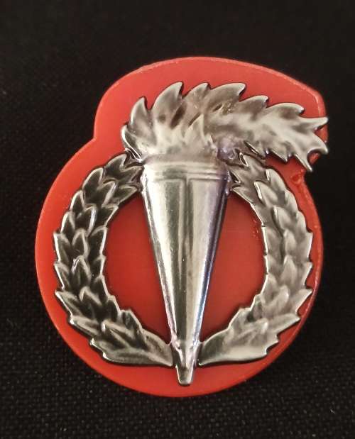 South African Army - Pathfinder proficiency badge Full Size             F83