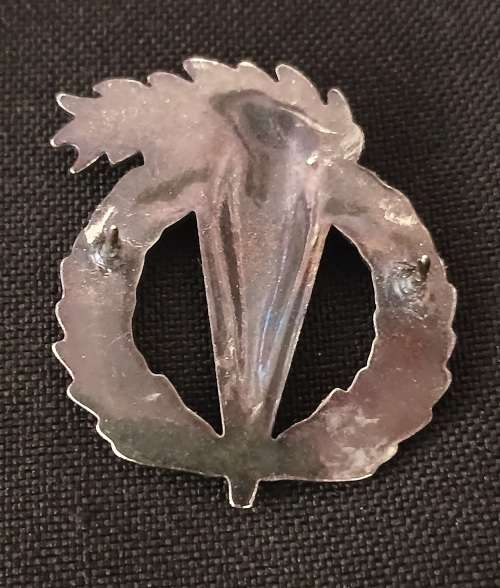 South African Army - Pathfinder proficiency badge Full Size             F83