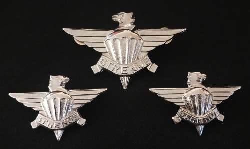 SADF 3 PARACHUTE -  Set of 1 x CAP BADGE & 2 COLLAR BADGES CHROMED- WORN 1979-1985            F84