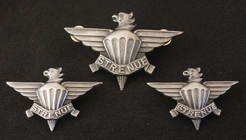 3 Parachute Battalion Beret And Collar Badges                          F85