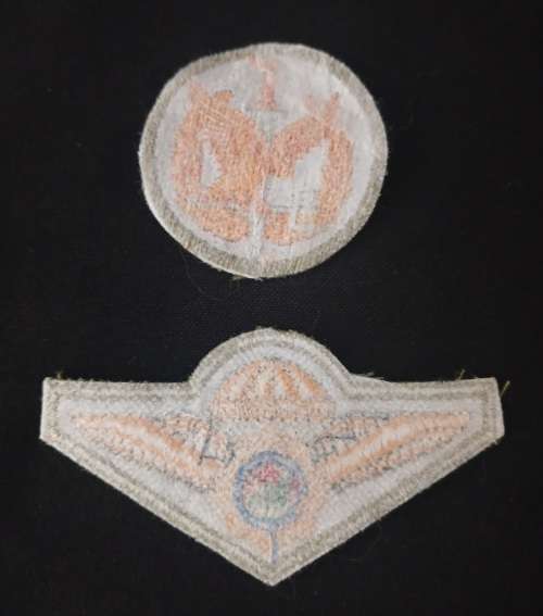 Special Task Force Operators Badge + Special Task Force Wing Badge                F89