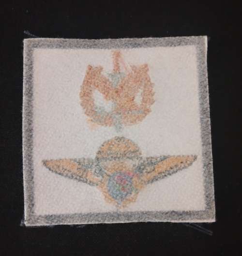 Police Task Force Cloth Badge                                      F90