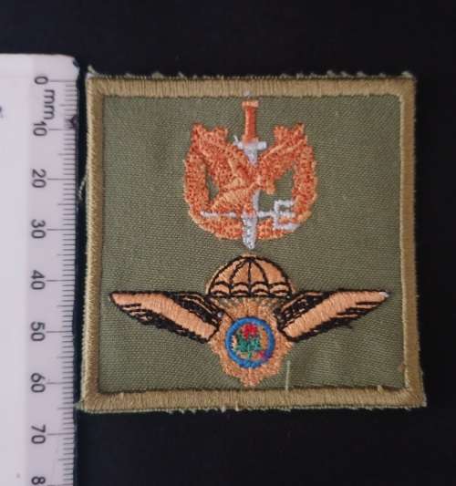 Police Task Force Cloth Badge                       F92