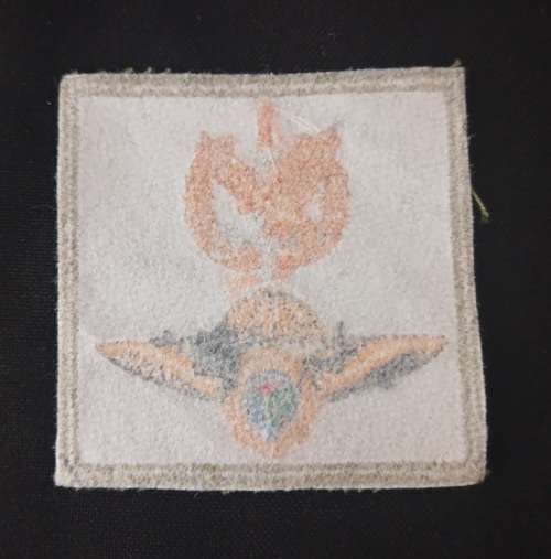 Police Task Force Cloth Badge                       F92