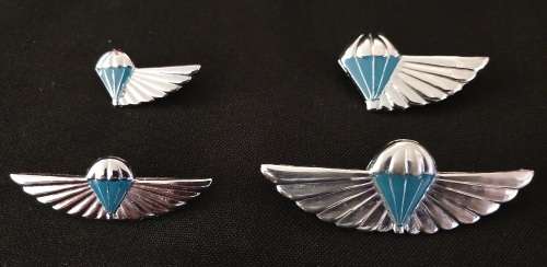Full set of 101 Air Supply Company Instructor & Despatcher wings - (Regular & Mess Dress size)  F98