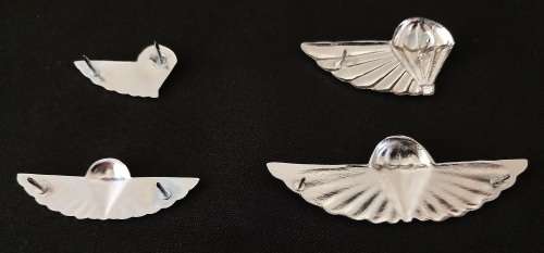 Full set of 101 Air Supply Company Instructor & Despatcher wings - (Regular & Mess Dress size)  F98