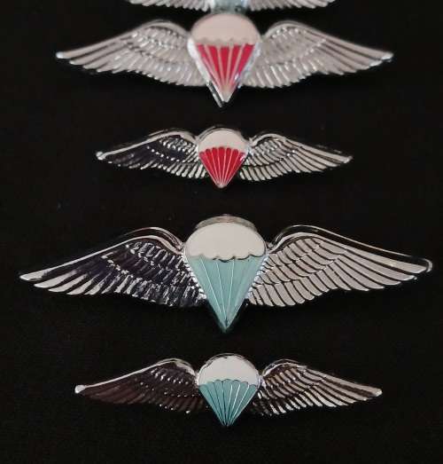 SADF PARACHUTE WINGS COLLECTION Of 10 Wings - Full Size And Mess Dress -- One BID For The Lot   F101