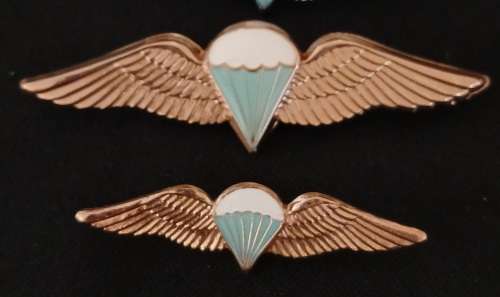 SADF PARACHUTE WINGS COLLECTION Of 10 Wings - Full Size And Mess Dress -- One BID For The Lot   F101