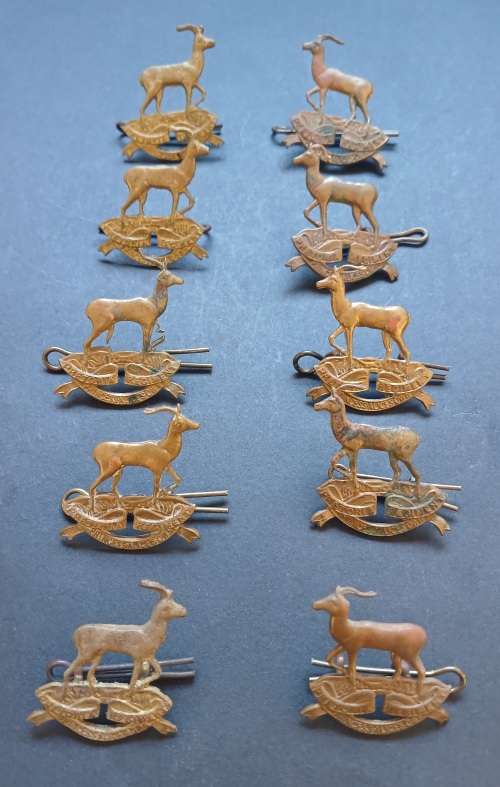 SADF. Pretoria Regiment ( Princess Alice`s Own ) Collar Badges  ( ONE BID FOR THE LOT )   F109