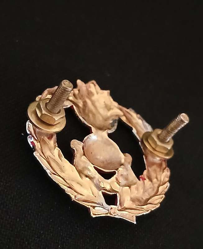 UBIQUE Cap Badge                    F112