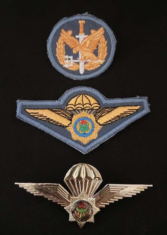 Special Task Force Operators Badge + Special Task Force  & Metal Wing       F117