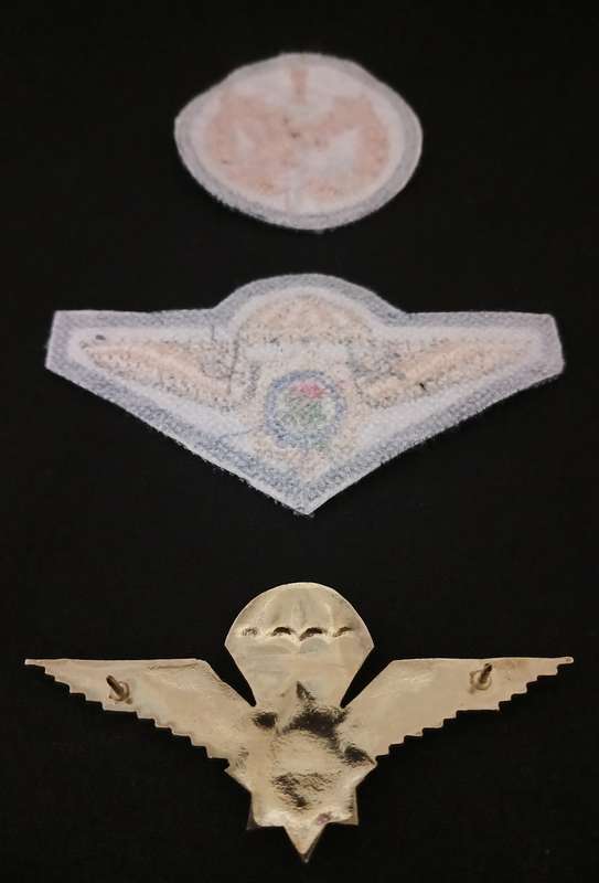 Special Task Force Operators Badge + Special Task Force  & Metal Wing       F117