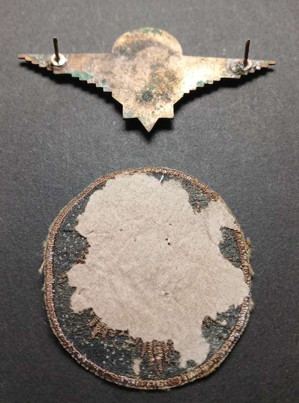 Special Task Force Camo Cloth Cap Badge & Early Qualification Para Wings     F119