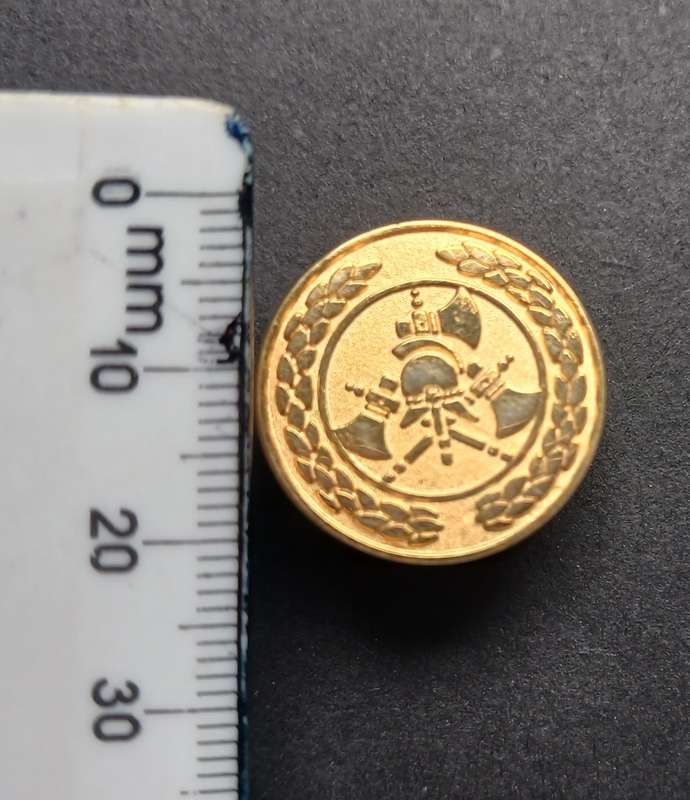 Fire Brigade And Ambulance Rank Badges  ( Silver And Gold Color )  One Badge Missing 1 Pin      F120