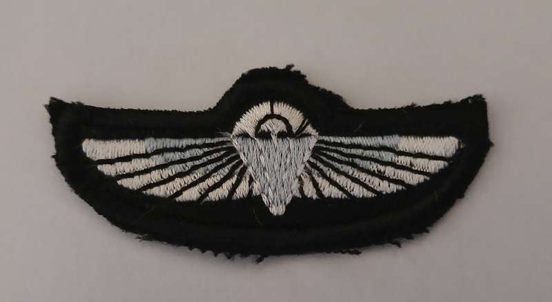 British SAS Parachute Wings                     F121