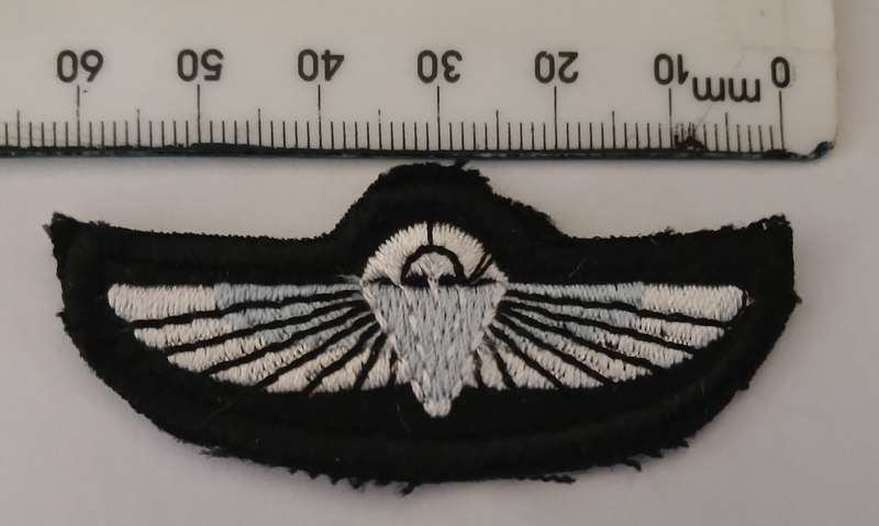 British SAS Parachute Wings                     F121