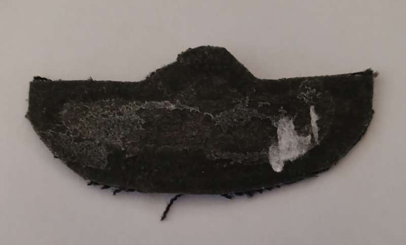 British SAS Parachute Wings                     F121