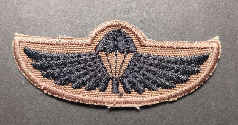 Air Supply Instructor Breas Badge                      F124